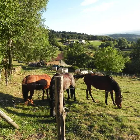 Ferme Des Entremains * Mardore